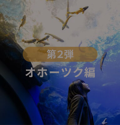 第2弾オホーツク編