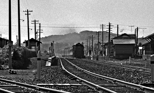 長万部ー黒松内間を走る列車