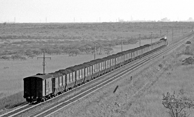 沼ノ端ー早来間を走る石炭列車（1972年5月）