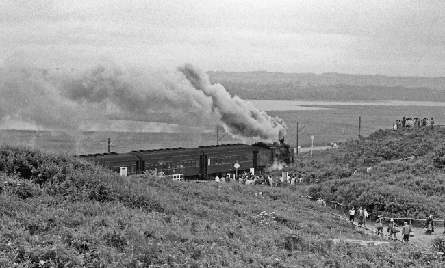 原生花園を走行する列車（1970年７月）