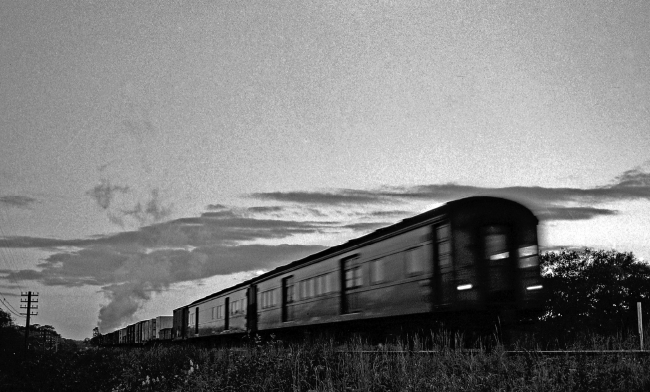 原生花園を走行する列車（1970年７月）